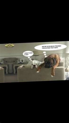 Louise Brown (@louisebrown89)’s videos with original sound - Corinne