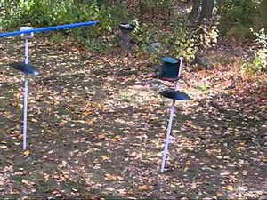 Squirrel Obstacle Course 2.2 -- Compilation