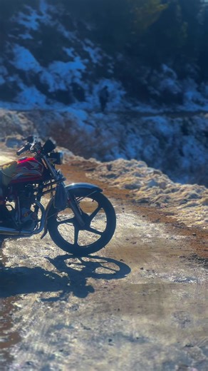 Exploring the BMW M4: Performance and Style