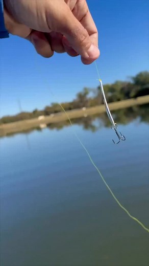 18K views · 521 reactions | Can we catch a fish on this anime spoon? Use code: RYANR10 - to save on all Kastking gear. . . . #fishing #fisherman #fishingislife #fishingdaily #fishingmemes #swimbait #bigbass #fishingvideos #kayak #kayakangler #trout #angler #bassfishing #fish #catfish #crappie #redfish #bass #saltwaterfishing #saltwater #fyp #lakefishing #pondfishing #spillway | Ryan Rigged Fishing | Facebook
