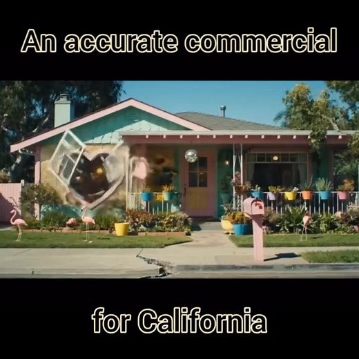 Davy Michael on Reels