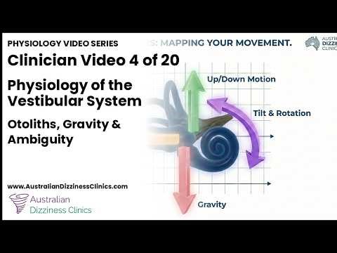 Ep 4 | The Line of Polarity Reversal -- Otolith Macula Organisation and Directional Coding | ADC