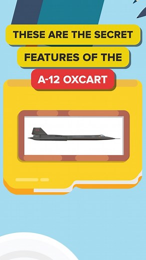 69K views · 289 reactions | Insane Features of the A12 | The Infographics Show | Facebook