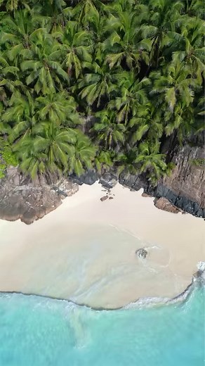 2K views · 65 reactions | Sun, sand, and endless beaches on Fregate Island! ☀️ | Fregate Island, Seychelles | Facebook