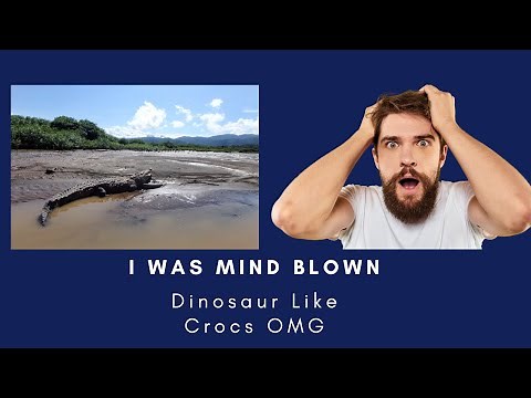 Tarcoles River in Costa Rica - The Famous Crocodile Bridge is a MUST SEE!