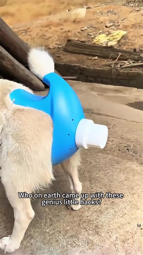 Essential Life Hacks and Tips