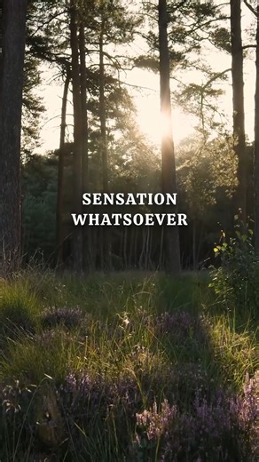 Alan Watts' deeper look at the self, the senses, and the flow of Tao. Philosophy of the Tao Pt. 1 available in full on YouTube. https://youtu.be/56yLoF-PGbk Quote: “If you realize that all your senses are really one sense, a kind of touching, you touch light with your eyes, you touch air vibrations with your eardrums and get sound. Then smell is touching gases and dust in the air, taste is touching the texture of food and things. The touch with the epidermis is perhaps the crudest form of touch 