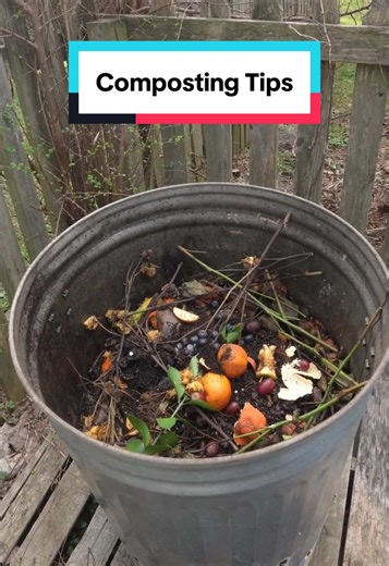 Composting for a Sustainable Garden | Plant Papi