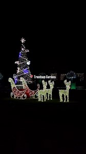 71K views · 295 reactions | It's that Trentham Winter Light Trail...