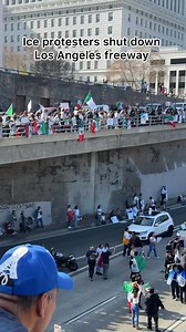Ice protesters shut down Los Angeles freeway #losangeles #protest | Jessica Palmadessa