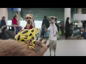 Compare the market new episode