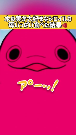 木の実大好きシロイルカ、YouTubeで活動中🍓ぜひおしゃべりしに来てください🏖 #vtuber #シロイルカ #白・まろやか #人外vtuber #配信切り抜き #vtuberclips #配信 #雑談 #苺 #食べ過ぎ