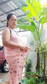 mama istri paling lugu lucu tapi lbih seperti anak kecil hujan hujanan