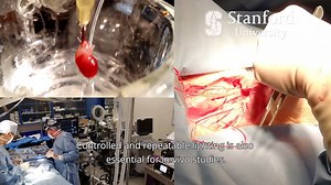 Modulight's in-vitro and in-vivo products enable laser illumination of many different objects using highly controlled and repeatable manner. We offer various sample stages as well as other instruments for quality control and pharmaceutical & biomedical research. SHOW MORE | Modulight Corp.