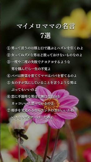 優しくて的確なマイメロママの言葉。恋愛の本質を、シンプルでやさしく教えてくれる。心に響く名言たち。 #名言 #恋愛心理 #自己啓発 #心に刺さる言葉 #恋愛