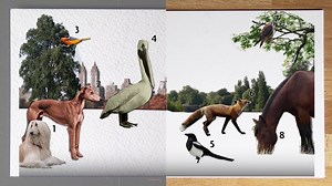 25K views · 71 reactions | An analogue way to record the world around you. Dear Data is a year-long, "slow data" transmission by Giorgia Lupi & Stefanie Posavec. Last chance to see #BigBangData, at Somerset House until 20 March. | Somerset House | Facebook