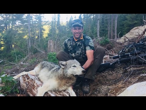 WOLF HUNTING IN IDAHO!!! - Stuck N the Rut 110