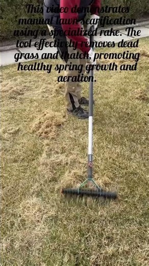 Preparing the Lawn for Scarification