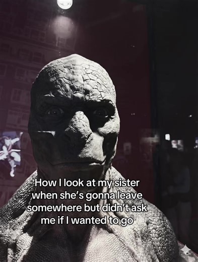 #fyp #meme #funny #siblings