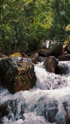 Nature Waterfall Sounds for Stress Relief