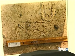 514K views · 8.6K reactions | Forensic Files Season 11 Episode 11 : Weakest Link #forensicfiles | Forensic Files - Global Online | Facebook