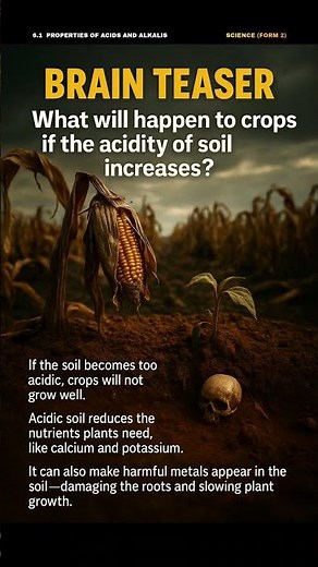 Chapter 6 : Acid and Alkali (SCIENVE FORM 2)