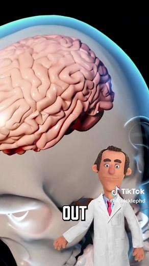 Understanding Concussions: Symptoms and Risks Explained