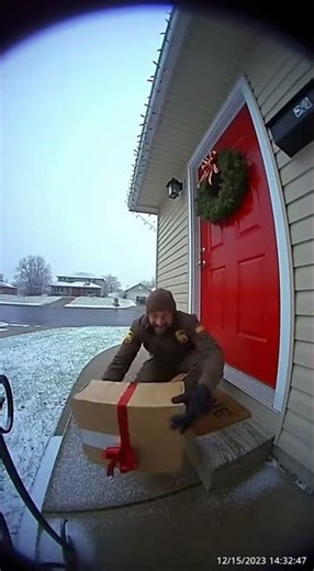 Delivery Driver's EPIC Package Save | Ring Cam Reflexes 😂💀