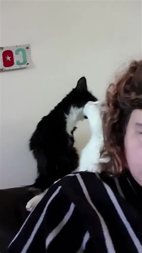 Emily Banks on TikTok