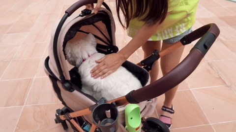 Small Dog Stroller, Pet Stroller for Small Dogs, 5-in-1 Dog Strollers - Fold All in One Without Detaching Carrier, Pet Strollers with Removable Waterproof Carrier for Dogs Cats 10 lbs 20 lbs - Black