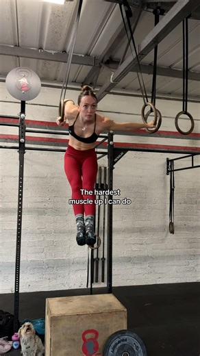 The archer muscle up is still the hardest variation I can do 🔥🤝 #calisthenics #ringmuscleup