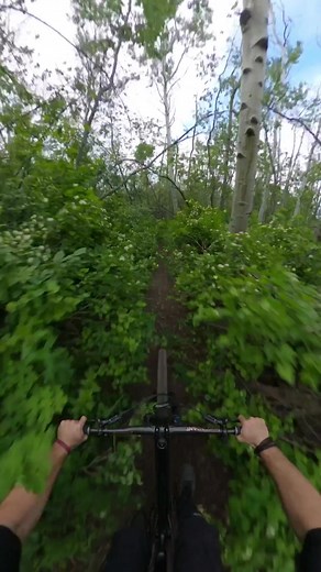 Need for speed 💨 @Zach Clayton doesnt even need brakes on his MTB. Shot on #GoProMAX. #gopro #bike #mtb #biking #mountainbike #pov