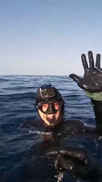 Wahooooo! Part 2 #spearfishing #freediving #wahoo