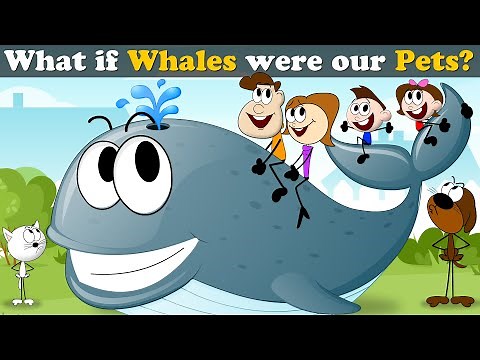 What if Whales were our Pets? + more videos | #aumsum #kids #children #education #whatif