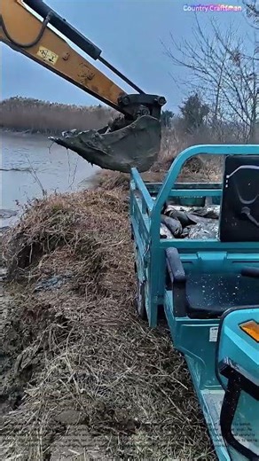 Pond to Truck: The Excavator Fish Transfer