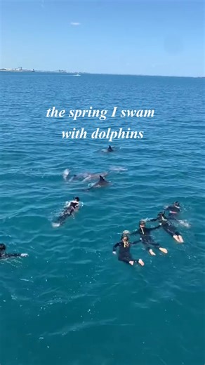 Spring is calling… and so are the dophins of the Shoalwater Islands!✨🐬 Our award-winning Swim with Wild Dolphins cruise is back this September 🙌 Just 45 minutes south of Perth you can dive into the crystal-clear waters for an unforgettable encounter with playful bottlenose dolphins. No tricks. No feeding. Just dolphins, wild and free (and as it should be!) 💙 📍 Swim with Wild Dolphins with Perth Wildlife Encounters 🔗 Check availability or reserve your spot using the link below. https://www.d