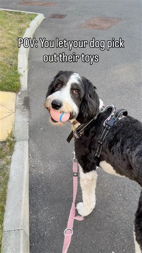 Send Help!…or ear plugs 😂