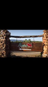 Home to the rare white lion, Pumba Private Game Reserve is the ultimate destination for an authentic African Safari experience. Encounter free-roaming wildlife, reconnect with nature, and create memories that will last you a lifetime in complete luxury. #exploreafrica #travelgoals #travelmore #traveladdict #traveltheworld #safarisightings #safarigram #honeymoondestination #safarihoneymoon #pumbagamereserve #safarilodge #big5safari #whitelions #lioncubs #africansafari #bigcatswildlife #bigcatsofi