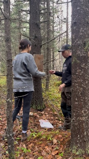 Setting A Marten Box: New Student Learns How To Set A 120 Conibear