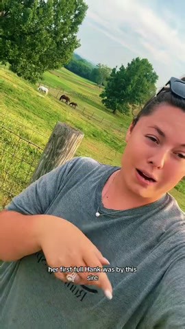 What color will my 2024 foals be?