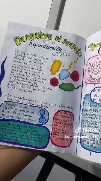 #revista #revistaescolar #manualidades #dibujos #celulasmadre #medicina #venezuela🇻🇪 #trabajosbonitos #trabajosescolares #escolar #estudiante