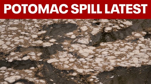Army Corps of Engineers deployed to Potomac sewage spill