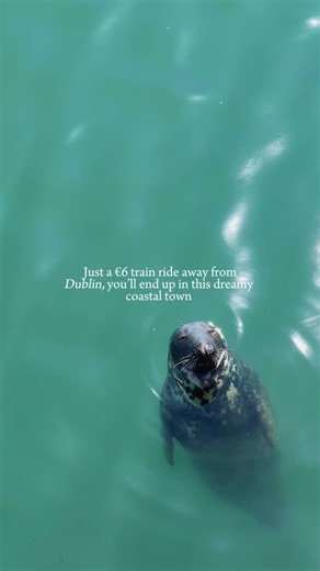 ysabelle • travel & lifestyle | tap for the perfect day-trip itinerary to Howth! 🇮🇪 The perfect and quick escape from the hustle and bustle of Dublin City is only a... | Instagram