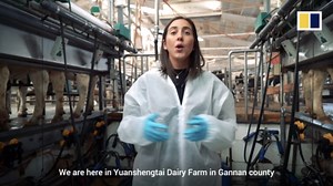 How Feihe survived the 2008 tainted milk scandal and became China's largest baby formula company