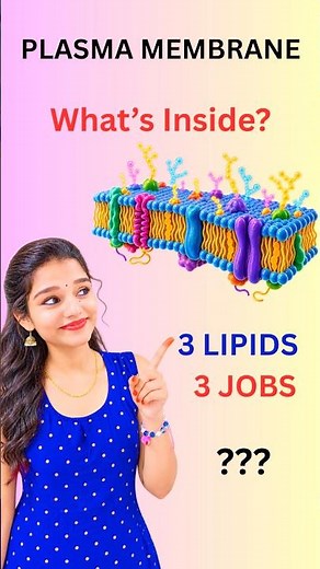Phospholipids : structure & function made easy #phospholipids #plasmamembrane #cellbiology #csirnet