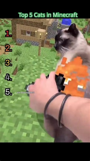 Top 5 Cats in Minecraft😸⛏️