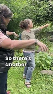 💧 Gardening Without Watering? See How Swales Make It Possible #waterconservation