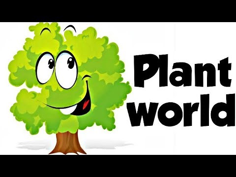 Plant World || Types Of Plants || CBSE Grade 1 || Kidos Edu Point