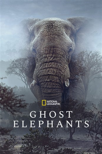 Ghost Elephants on Jio Hotstar