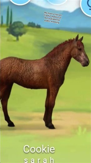 My howrse horses biscut and cookie avaliable for public breedings/coverings#cute#howrse#game#games#